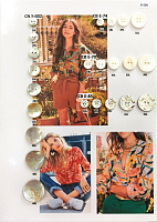 Ракушка-Кокос