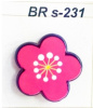 BR s-231